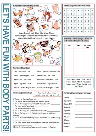 Parts of the Body Vocabulary Exercises Fun Activities Games Icebreakers ...